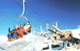 Skiing
