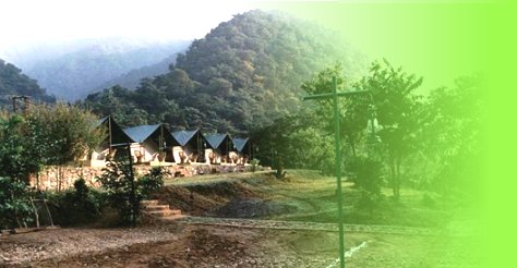 christmas package tours,india christmas tours,indian himalaya christmas tours,christmas celeberate with us,himalaya chirstmas tours