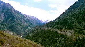 eco trekking in indian himalayas,eco tours,india eco trek,eco trekking himalaya,himalaya eco adventure tours,eco trekking himalaya,himalaya eco tours,eco trek garhwal himalayas,eco trekking