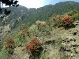 garhwal family tours,india family tours holidays,family tours to indian himalayas,india family package tours