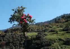 Photo by Frank & Klaus Germany,,garhwal adventure,adventure tours in the garhwal himalayas,garhwal himalayan adventure tours