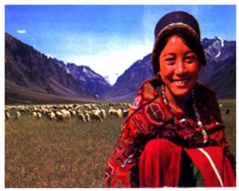 himachalpradesh travel directory, himachal information guide, india travel info, indian travel portal,rohtang pass,kullumanali,kullu manali, manali map,kullu-manali,Manali India Tourism Guide - Manali in Himachal travel guide offering info on kullu manali tours,helicopter skiing,skiing in himalayas,manali city tours, vashisth hot sulphur springs, hadimba temple, trekking in rohtang pass, trekking tours of himachal, dhungiri temple in manali, gadhan thekchoking gompa, temple of sage manu, tibetan temple in manali,himachal pradesh