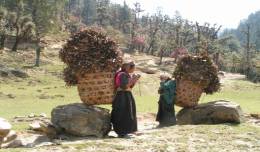 local people meeting while on trek camp point,trekking roopkund,roopkund treks,trekking tour roopkund