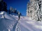 skiing tours india,india skiing tours,skiing in the himalayas