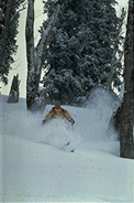 skiing the himalaya,himalayan skiing tour.skiing the himalaya