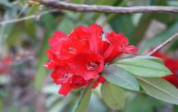 india sunderdunga glacier tours,tours to sunderdunga glacier,india sunderdunga glacier tours