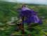 india valley of flower trip,trip to india valley of flower,adventure tours to valley of flower national park,adventure tours uttaranchal valley of flower